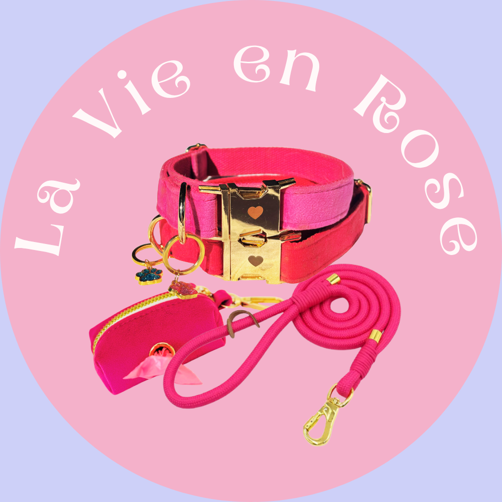 La Vie En Rose