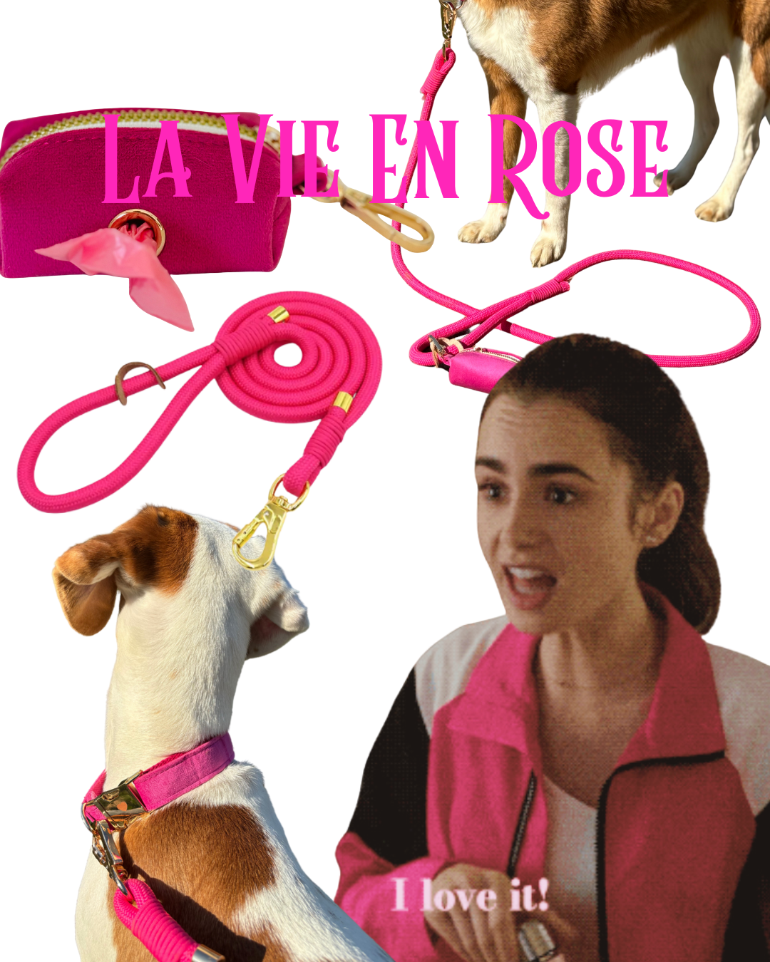 La Vie En Rose Bild