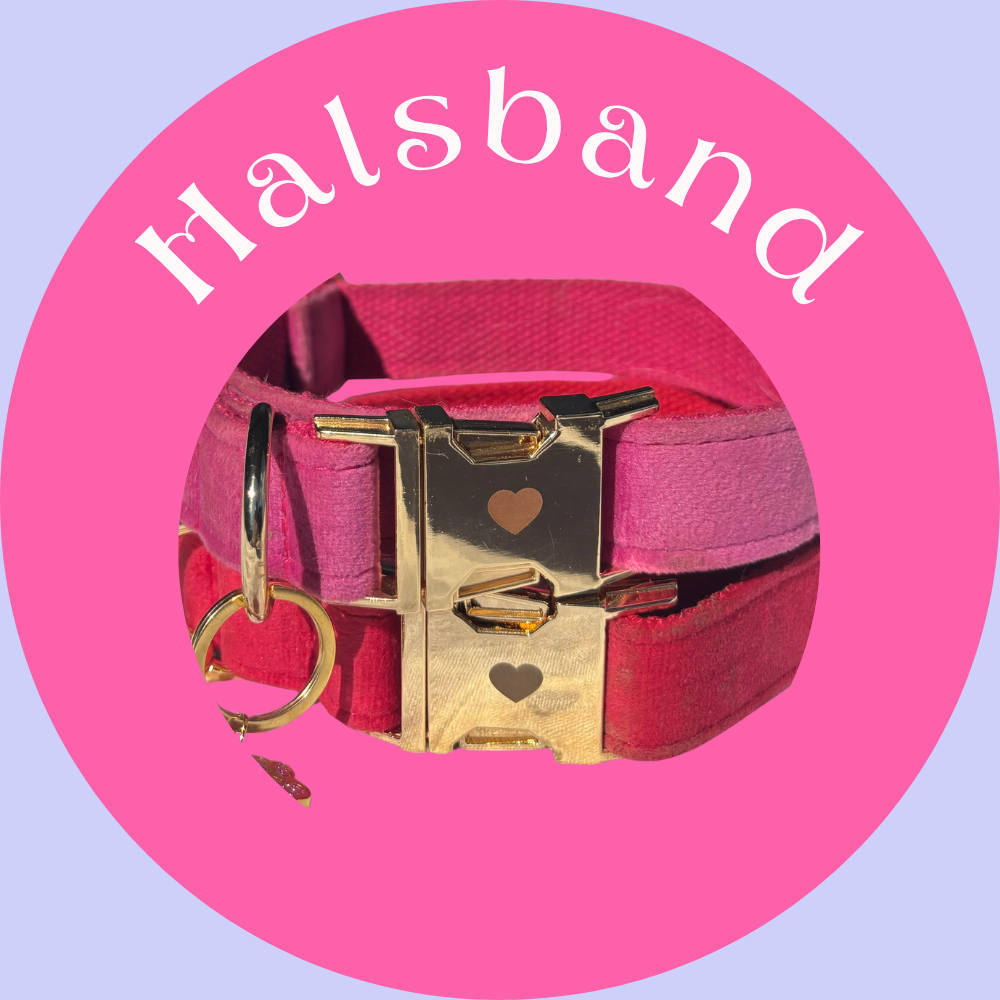 Alla halsband