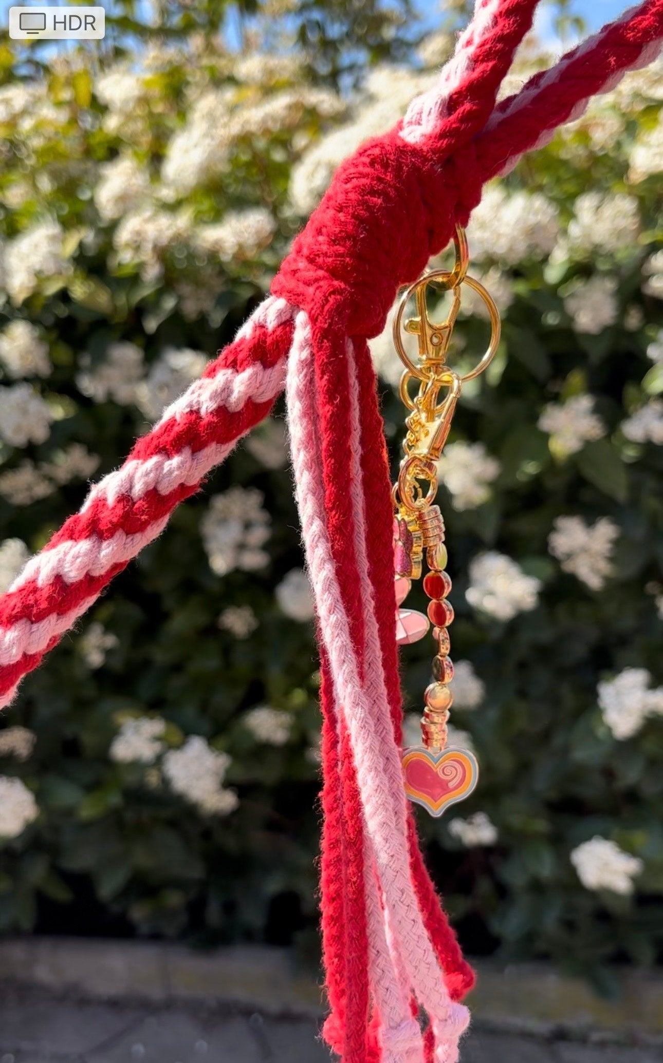 Koppel Berlocker Bild