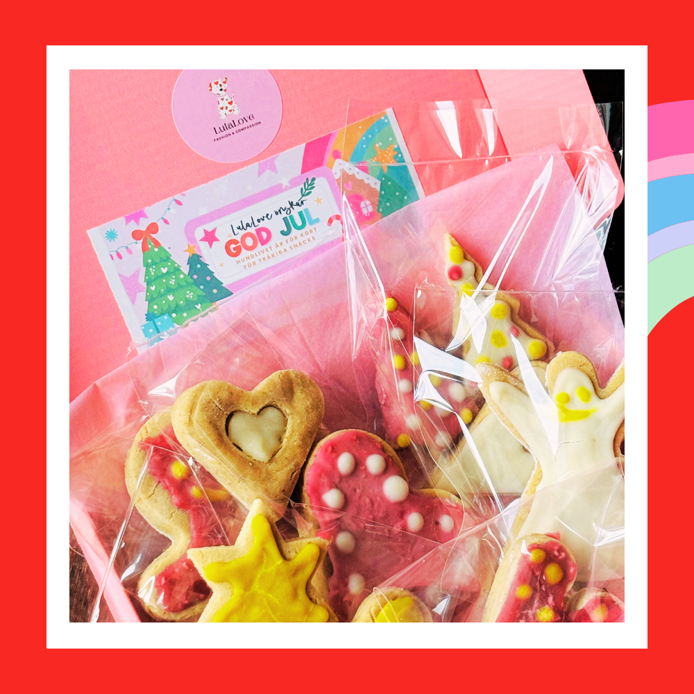 Vi älskar att fira Jul i stort, 11 Hund kakor