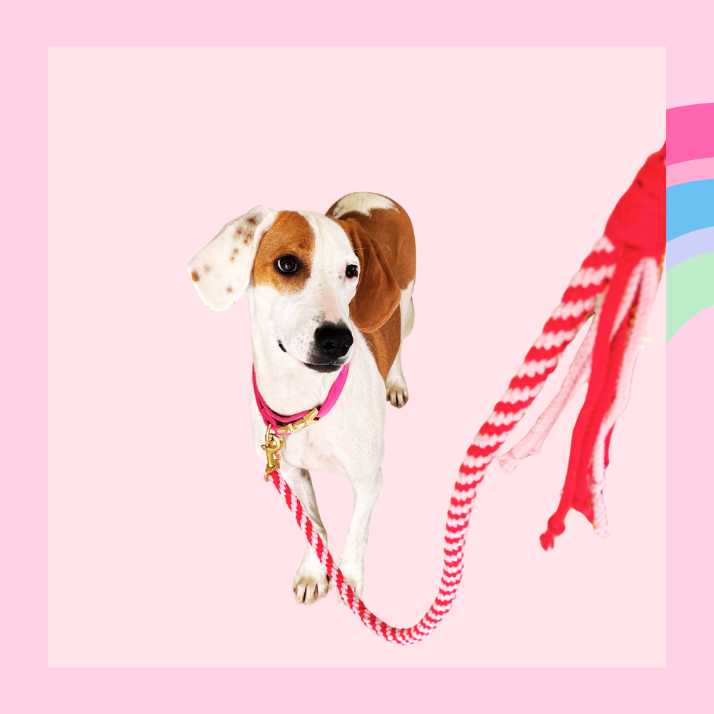 Rosa och Rött Handgjord Koppel