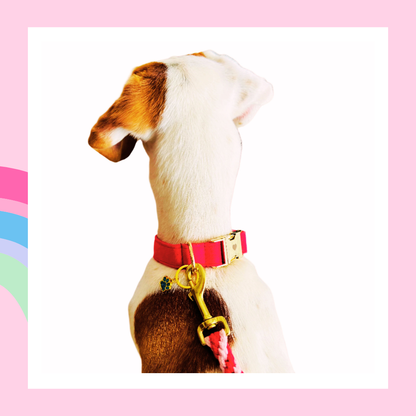 Le Rouge Est Mis, Hund Halsband