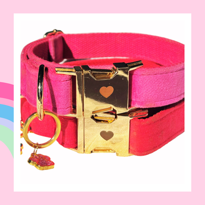 La Vie En Rose, Hund Halsband