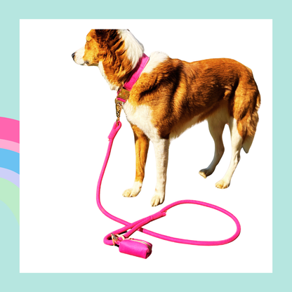 La Vie En Rose, Koppel