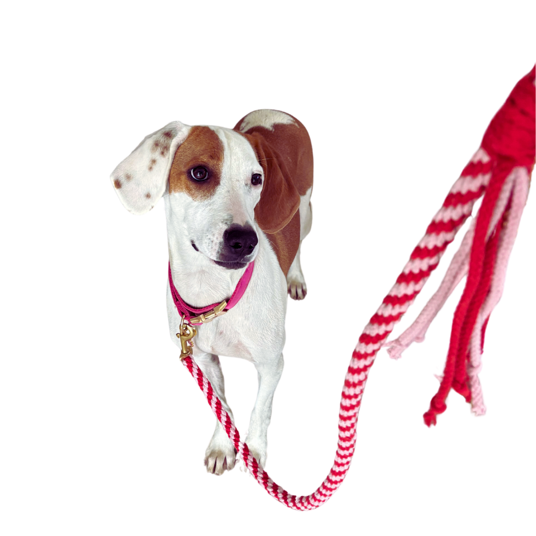 Rosa och Rött Handgjord Koppel