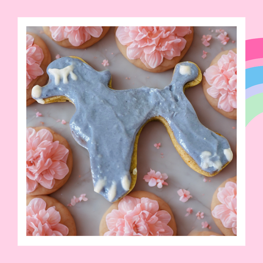 Mini Diva, 3 Hund kakor