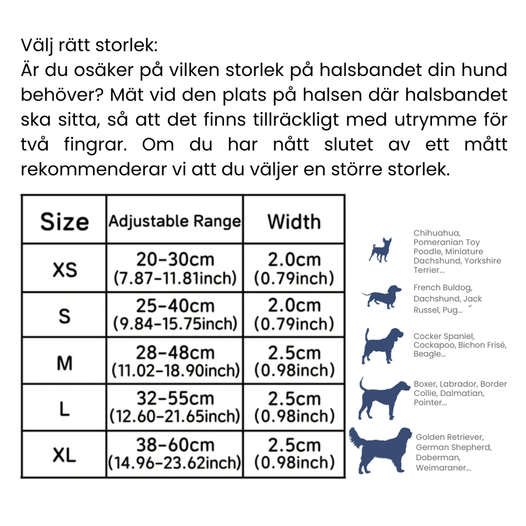 Le Rouge Est Mis, Hund Halsband