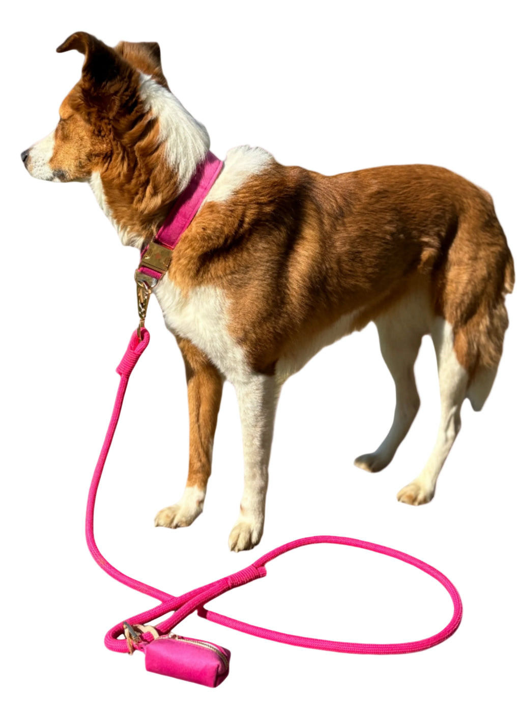 La Vie En Rose, Koppel