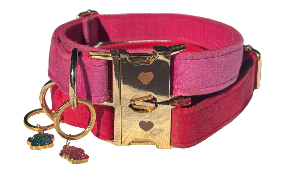 Le Rouge Est Mis, Hund Halsband