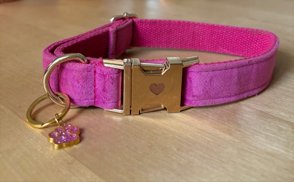La Vie En Rose, Hund Halsband